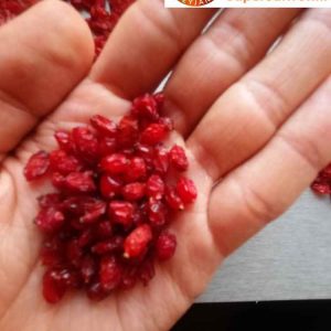 خرید زرشک کیلویی